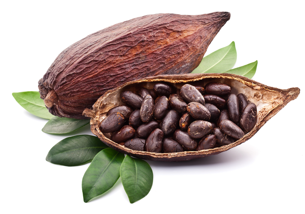 Inne i kakaofruktene ligger kakaobønnene, som fermenteres (gjæres) og tørkes før de sendes til sjokoladefabrikken. Foto: Shutterstock