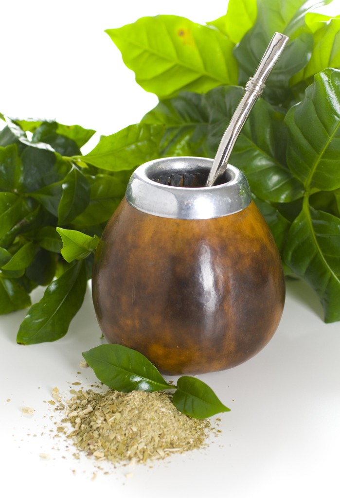 Yerba mate er en plante fra Sør-Amerika som brukes til å lage en type te som kalles mate. Foto: Shutterstock