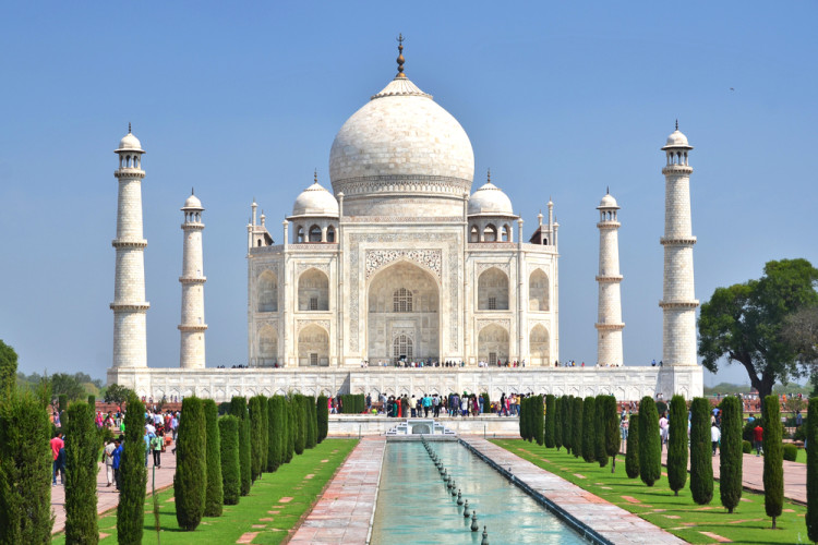 Siste nytt! Insekter herper Taj Mahal!