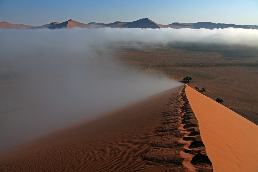 Morgentåke over Namibørkenen