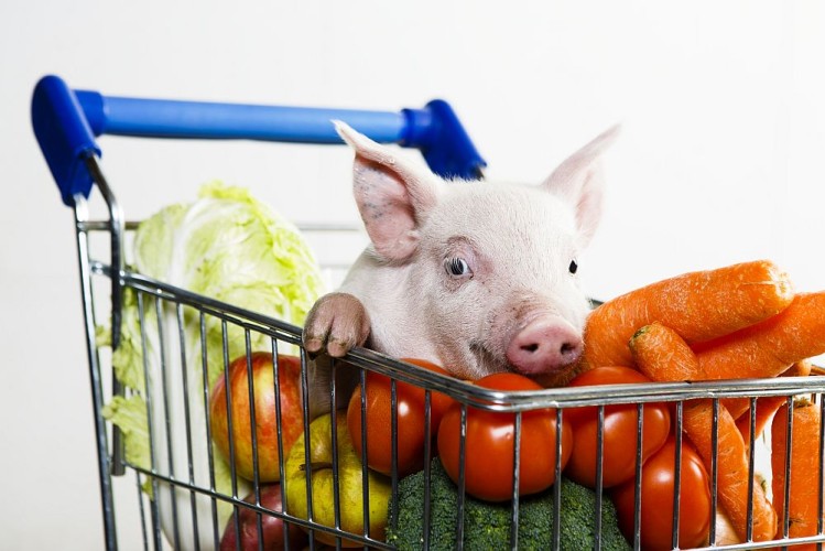 MRSA: Er svinekjøttet blitt farlig?